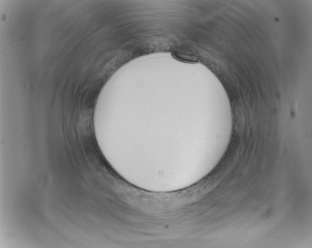 X0000073900034200609082159