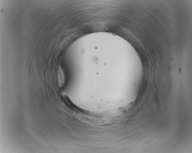 X0000073900035200609082159