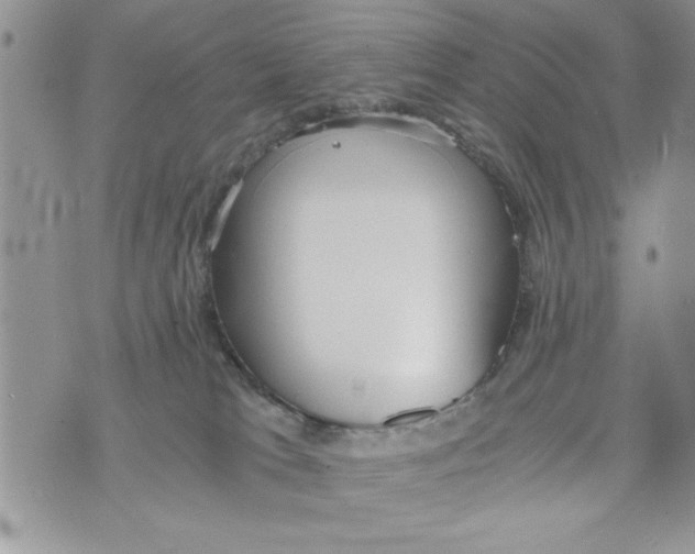 X0000073900037200609082159