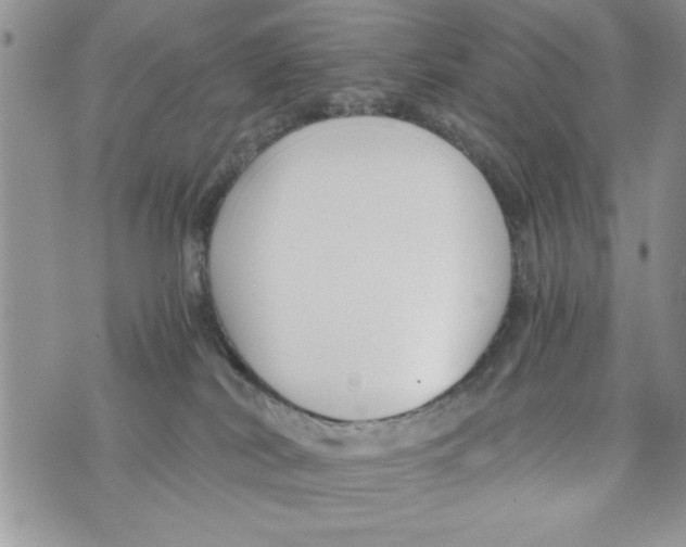 X0000073900038200609082159