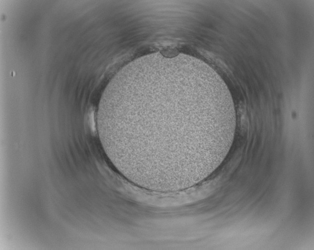 X0000073900042200609082159