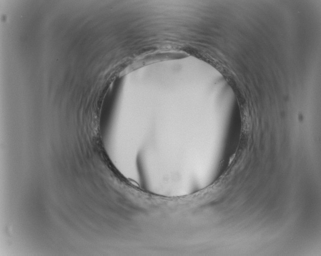 X0000073900043200609082159