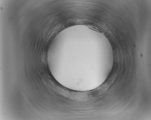 X0000073900044200609082159