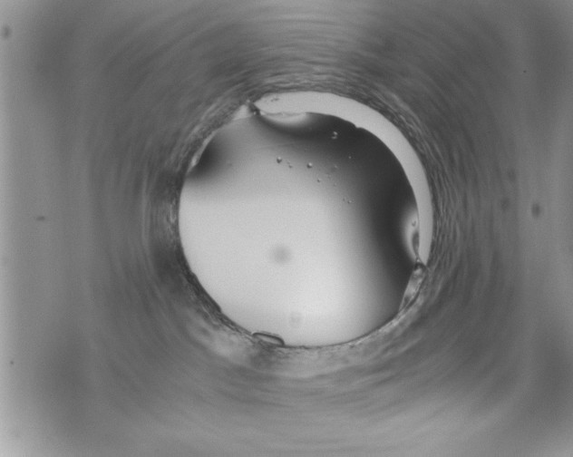 X0000073900045200609082158