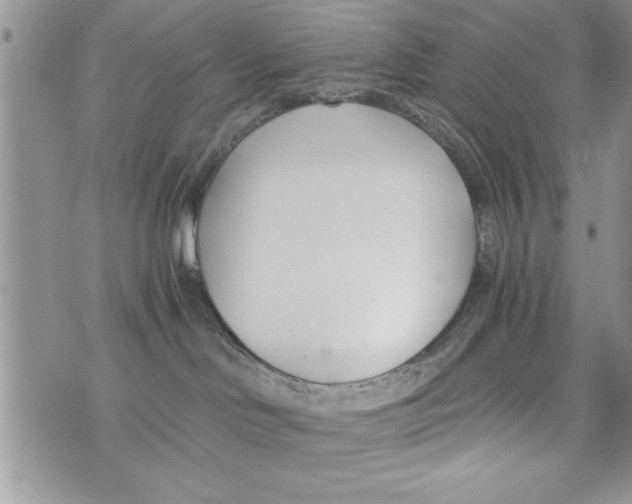 X0000073900046200609082158