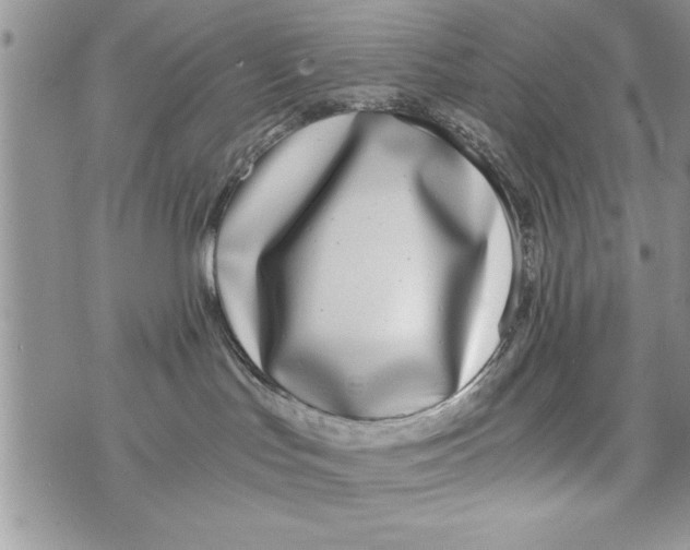 X0000073900047200609082158