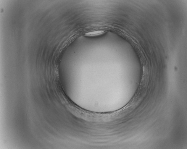 X0000073900048200609082158