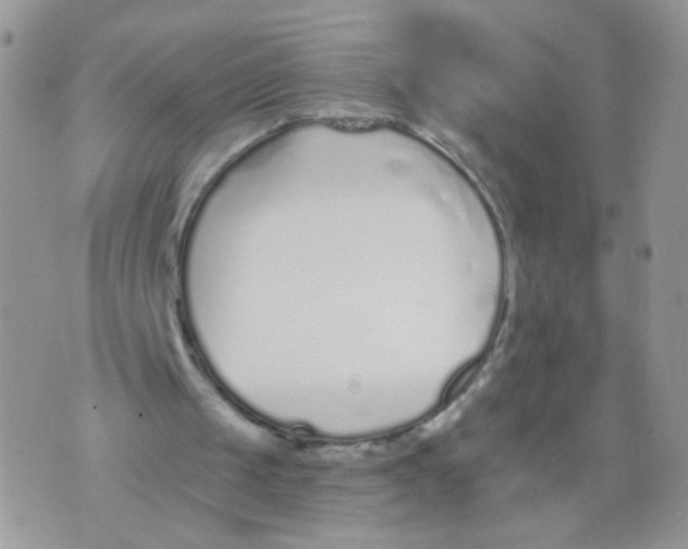 X0000073900049200609082158