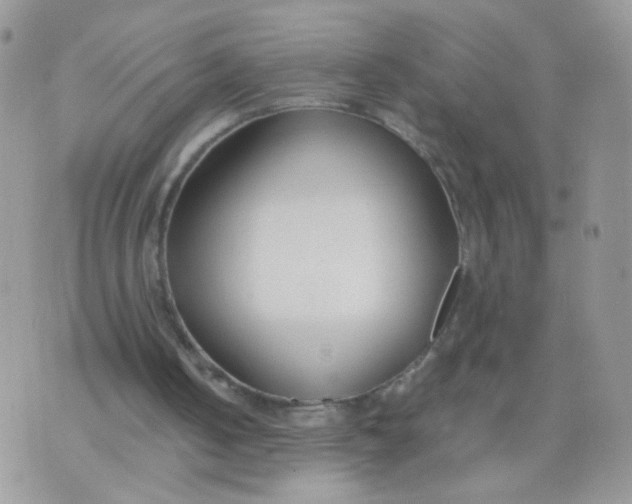 X0000073900050200609082158