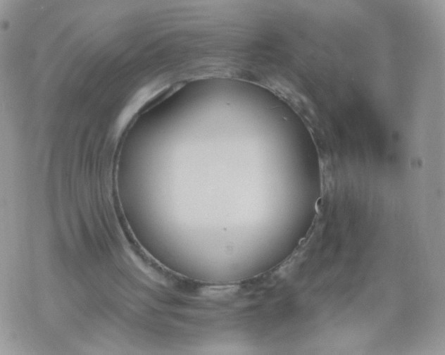 X0000073900051200609082158