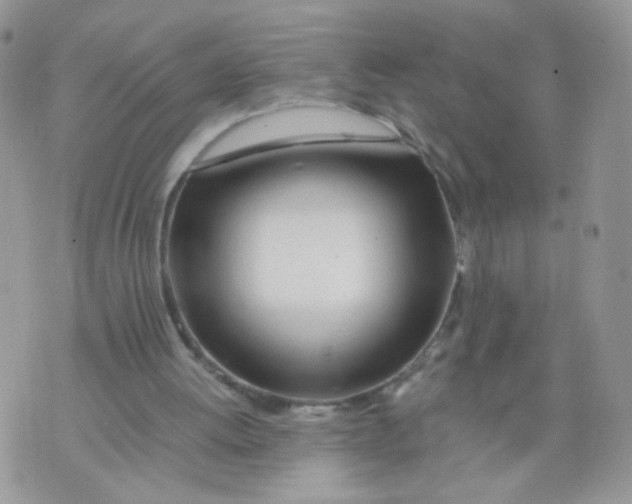 X0000073900052200609082158