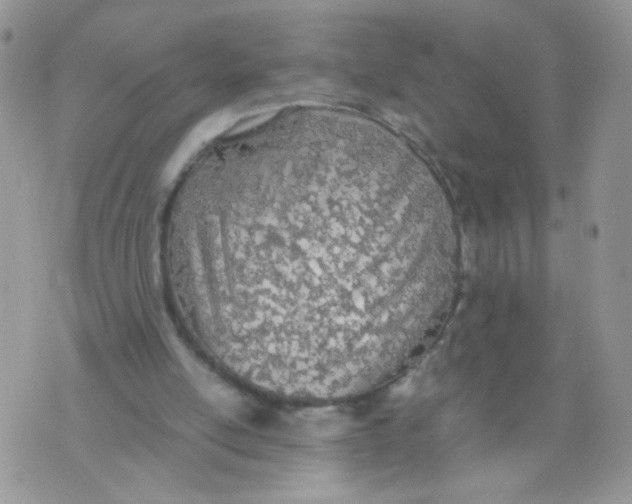 X0000073900054200609082158