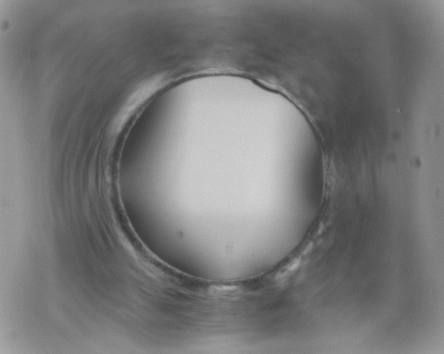 X0000073900055200609082158