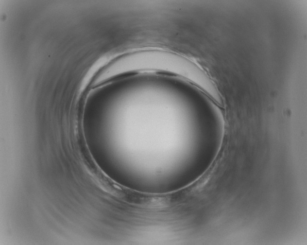 X0000073900056200609082158