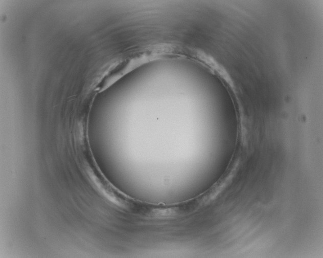 X0000073900057200609082158