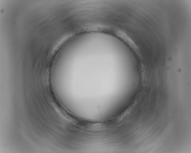 X0000073900058200609082158