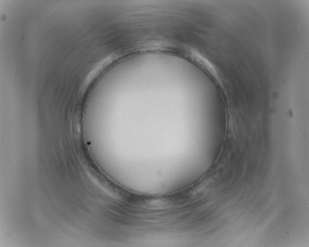 X0000073900059200609082158