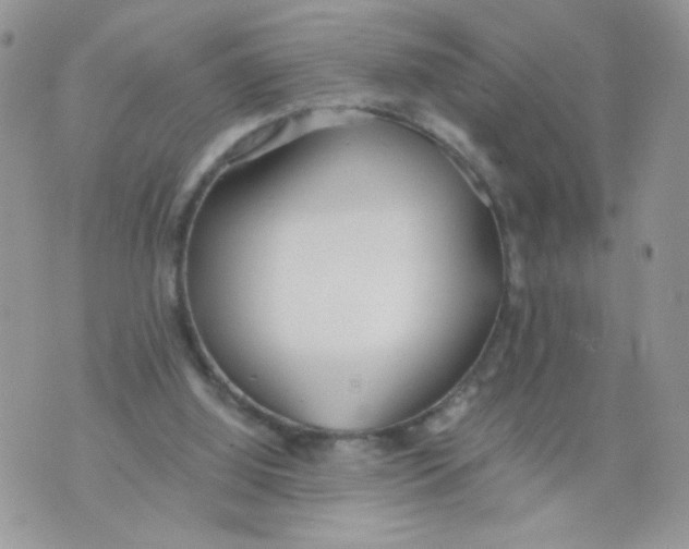 X0000073900060200609082158