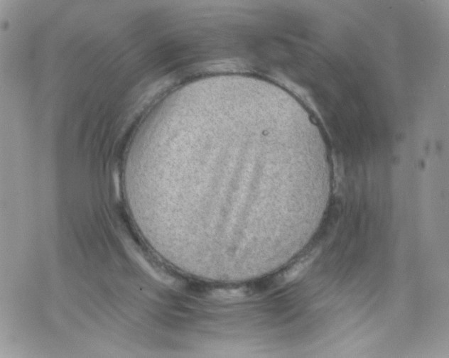 X0000073900061200609082158