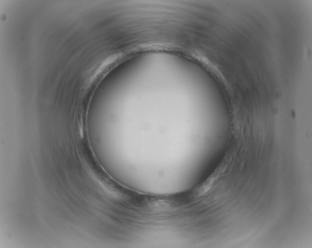 X0000073900062200609082158