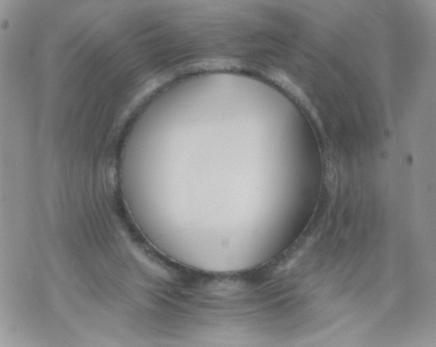 X0000073900063200609082158