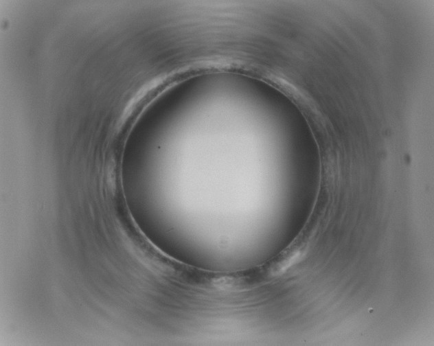 X0000073900064200609082158