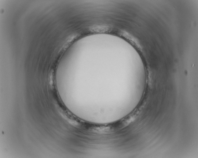 X0000073900065200609082158