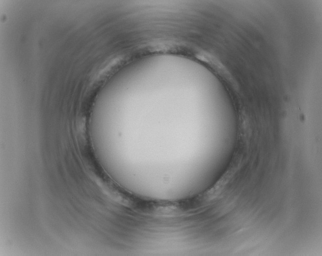 X0000073900066200609082158