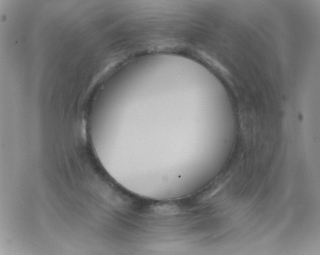 X0000073900067200609082158