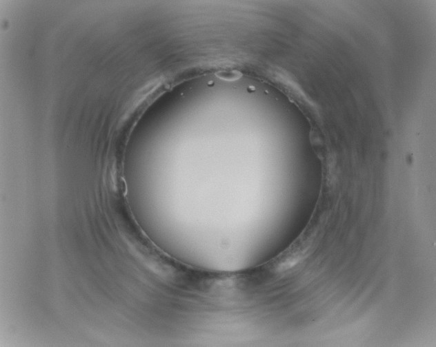 X0000073900068200609082158