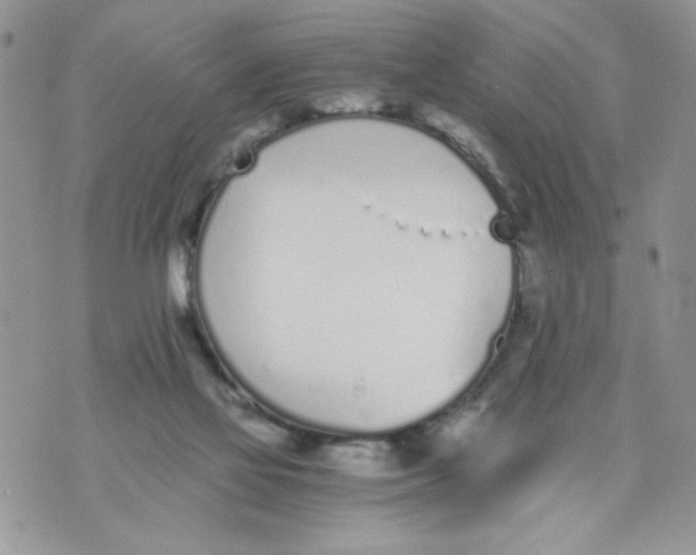 X0000073900069200609082158