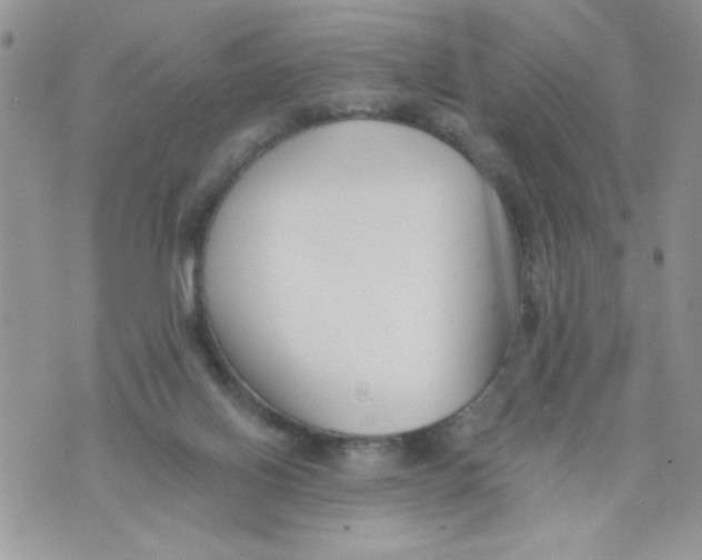 X0000073900070200609082158