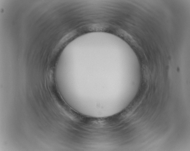 X0000073900071200609082158