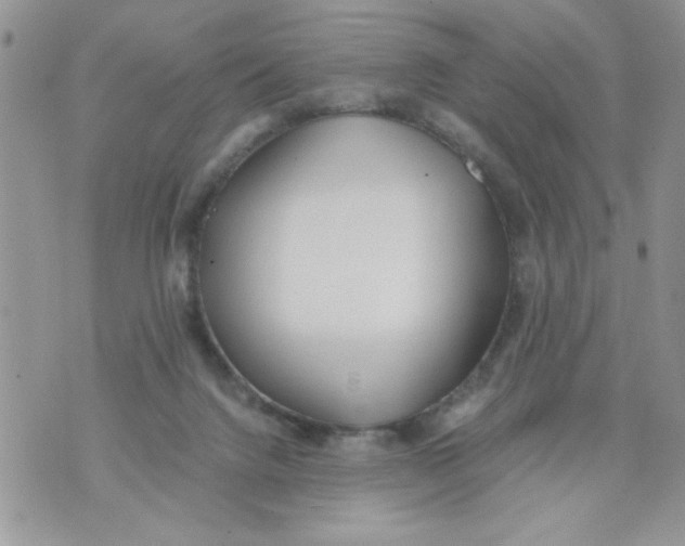 X0000073900072200609082158