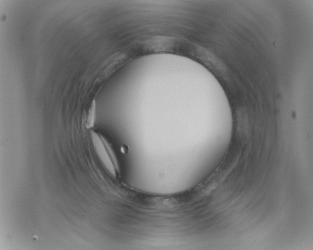 X0000073900073200609082158