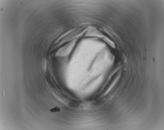 X0000073900076200609082158