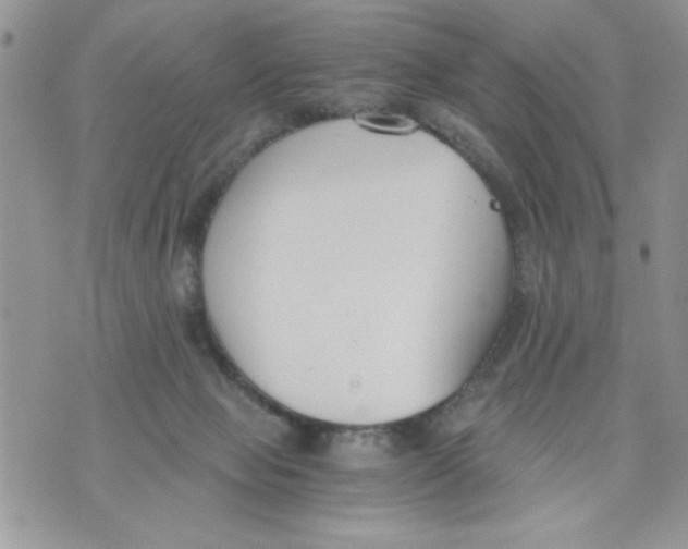 X0000073900077200609082158