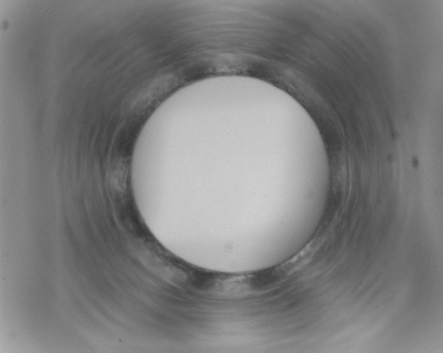 X0000073900078200609082158