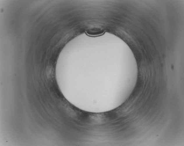 X0000073900079200609082158