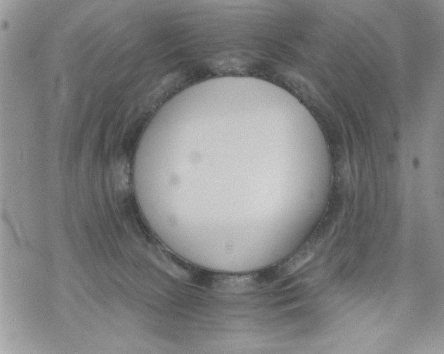 X0000073900081200609082158