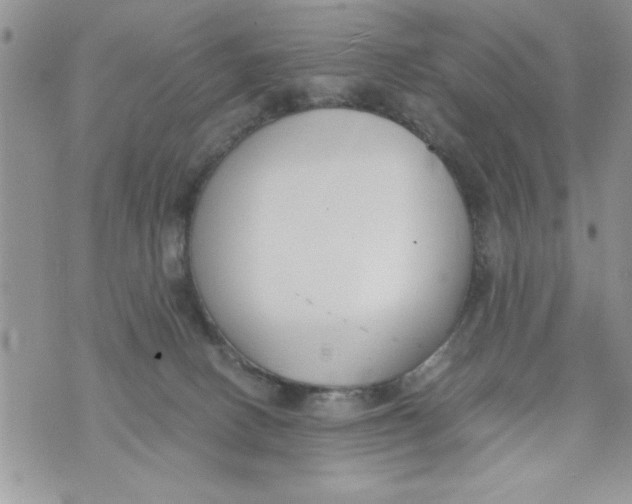 X0000073900082200609082158