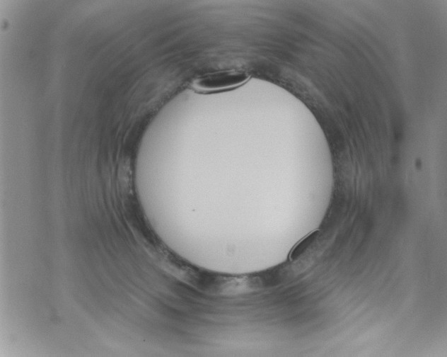 X0000073900083200609082158