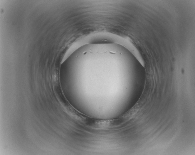 X0000073900084200609082158