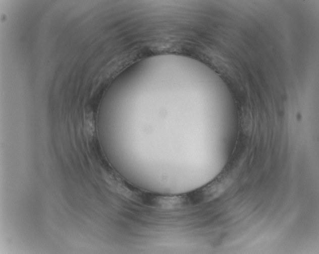 X0000073900085200609082158