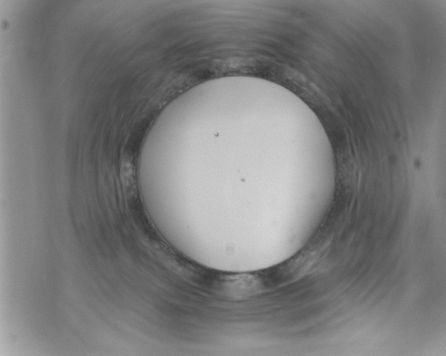 X0000073900087200609082158