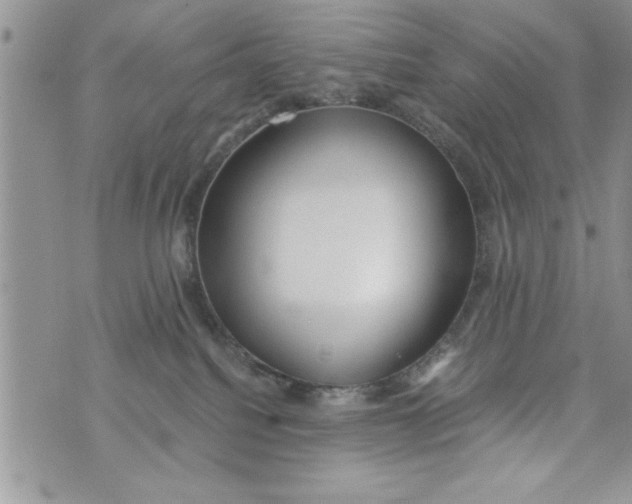 X0000073900088200609082158