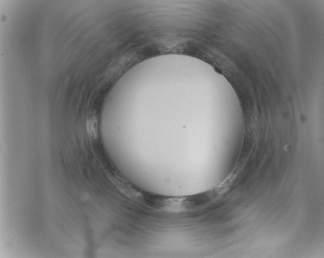 X0000073900090200609082158