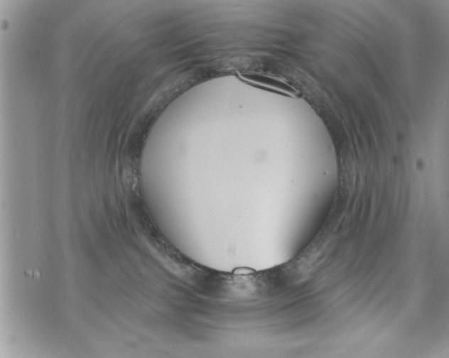 X0000073900091200609082158