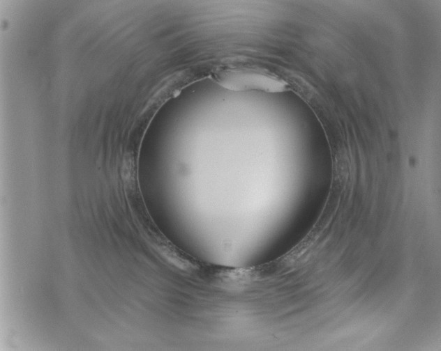 X0000073900092200609082158