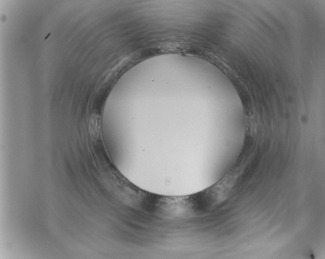 X0000073900093200609082158